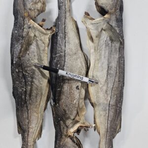 Schelvis 50 cm, 5 kilo
